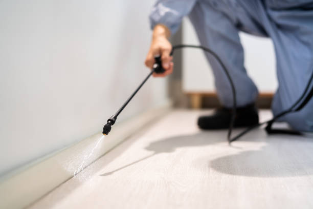Licensed Pest Control service in Nelson County County, ND - Nex Pest Control